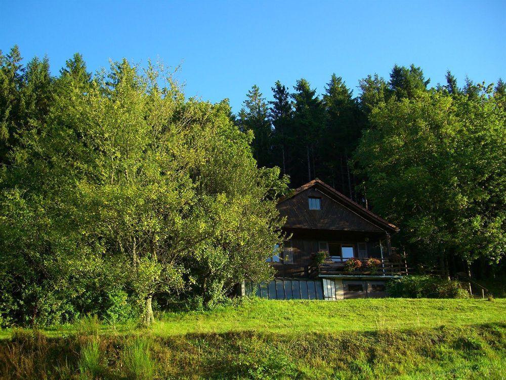 Logis Hotel Restaurant La Vigotte Girmont-Val-d'Ajol Exterior photo