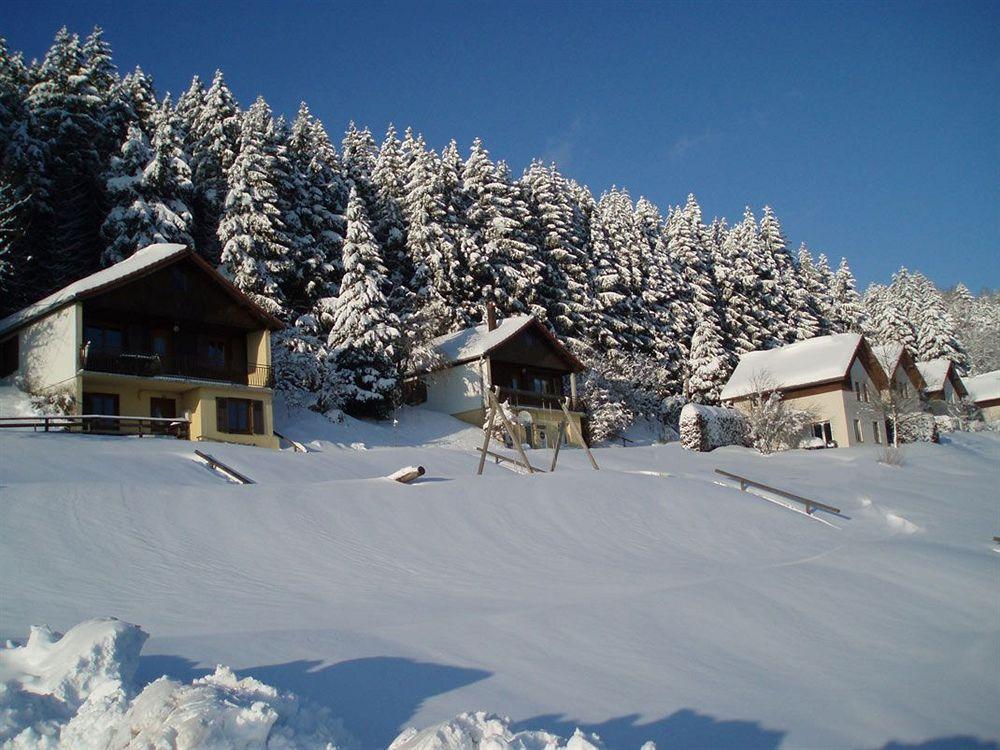 Logis Hotel Restaurant La Vigotte Girmont-Val-d'Ajol Exterior photo